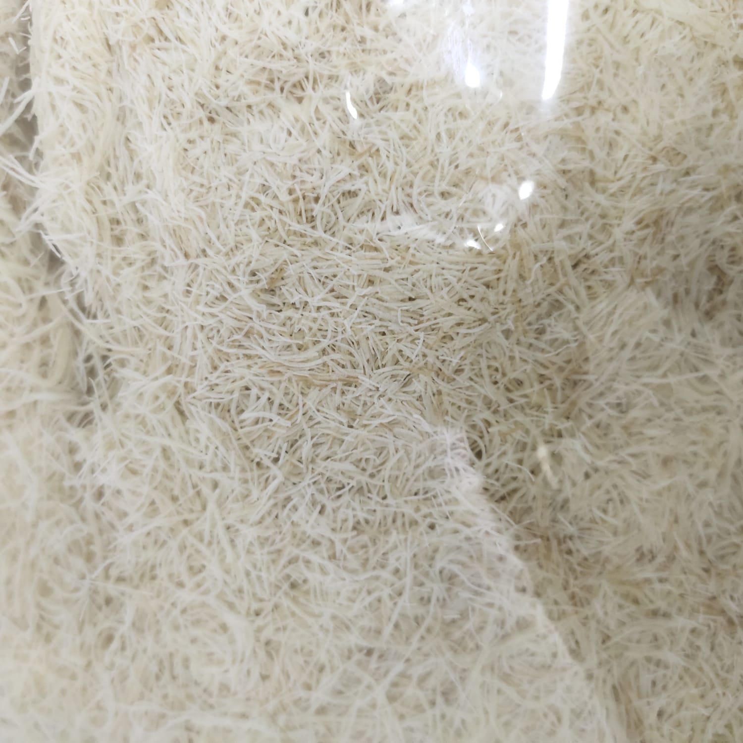 GOLDEN WHEAT AJINAH KUNAFAKATAIFI 500G (1)